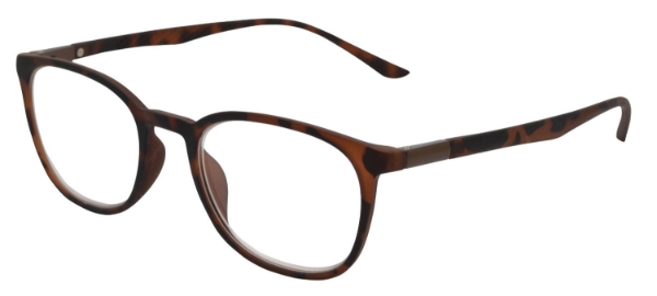 Turin - Tortoiseshell