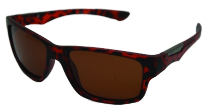 Show details for GI Picture of GI