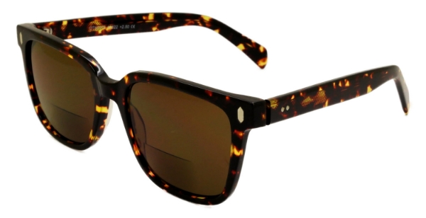 Picture of Arnold Acetate Sunglass Reader